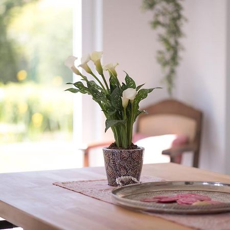 Ferienwohnung Schwalbennest Weinsheim  Екстериор снимка